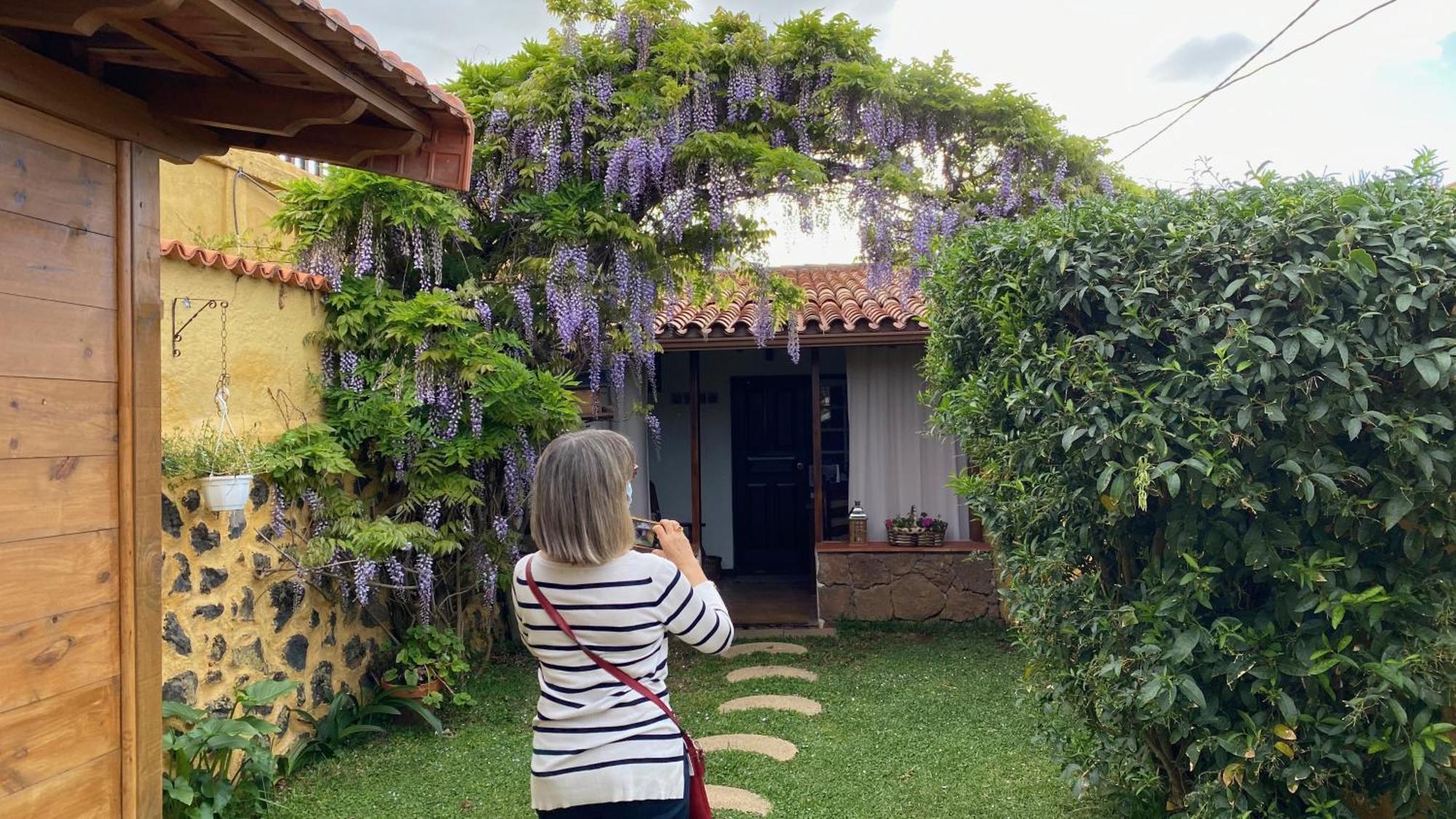 Casa de La Gañanía Casa de hóspedes Los Realejos Quarto foto